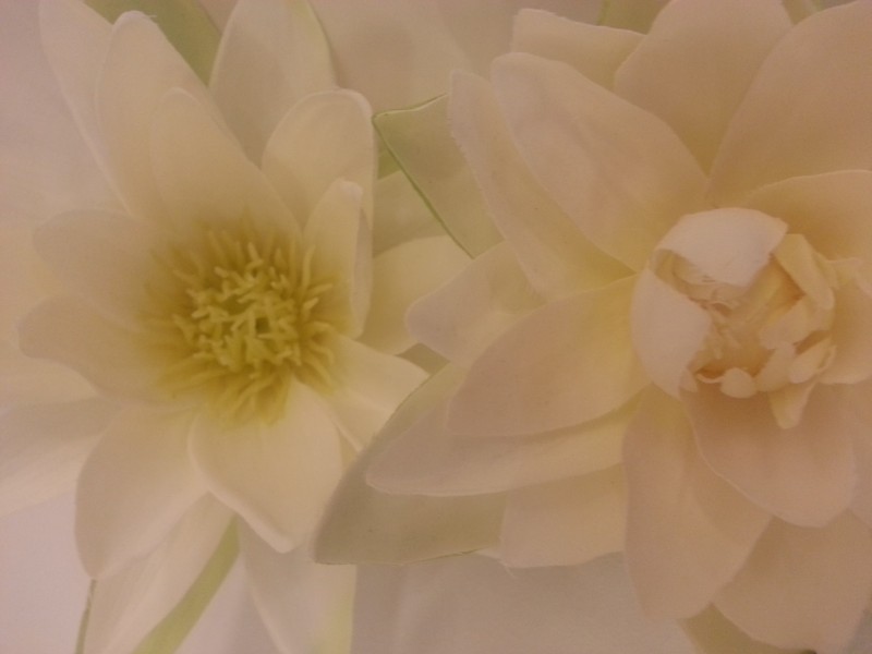 Dirbtinė gėlė Vandens Lelija H110cm (1)