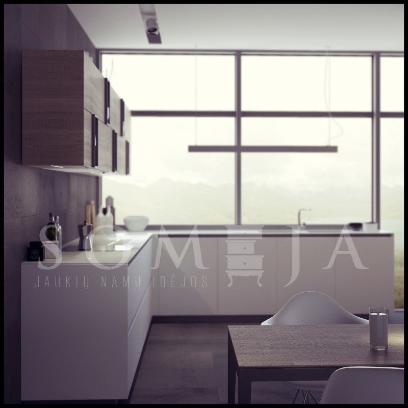 minimalistinė virtuvė Helė